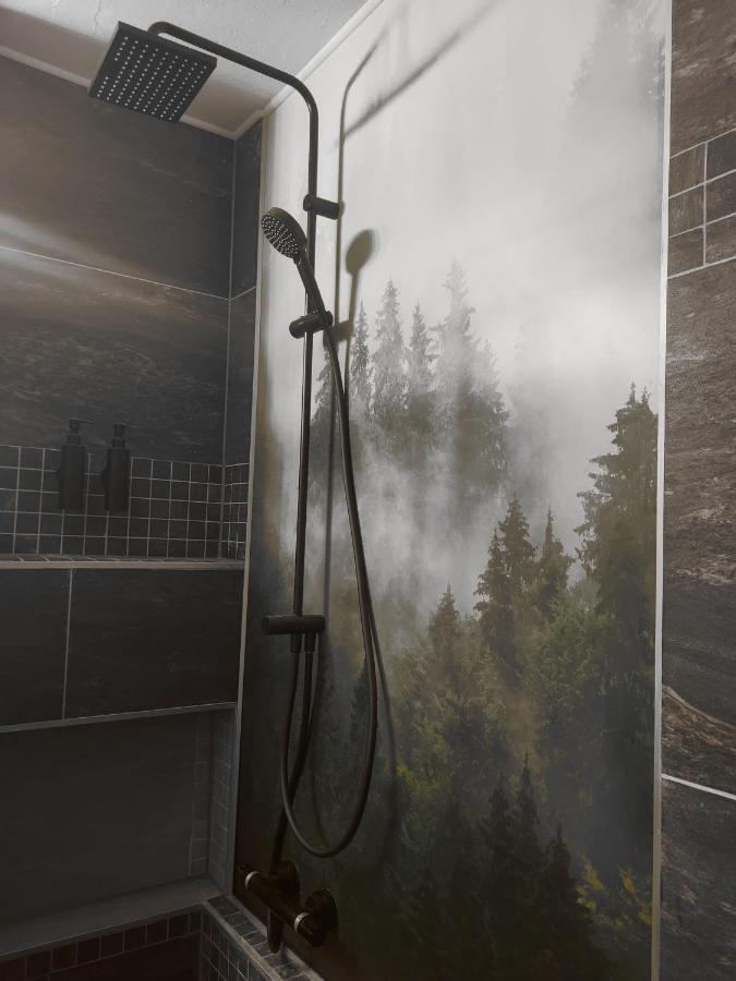 Apartment Fabelwald Black Forest Schonach im Schwarzwald 外观 照片