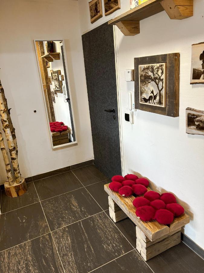 Apartment Fabelwald Black Forest Schonach im Schwarzwald 外观 照片